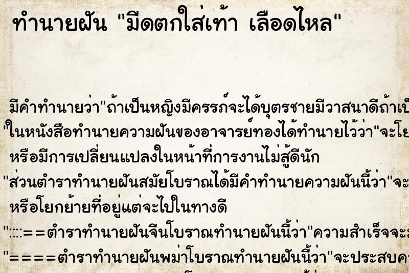 ทำนายฝัน มีดตกใส่เท้า เลือดไหล ทำนายฝัน มีดตกใส่เท้า เลือดไหล